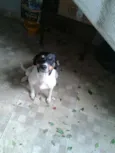 Lili 