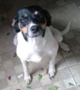 Lili 