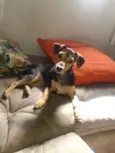 Molly e Dudu