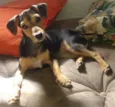 Molly e Dudu