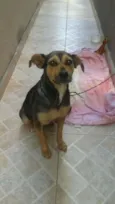 Belinha