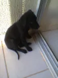 Mine