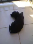 Mine
