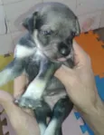 sem nome
