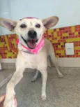 Princesa 