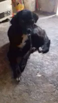 esmeralda