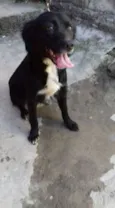 esmeralda