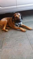 Não Tem