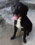 esmeralda