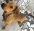 Jully