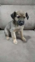 pretinho