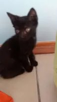 Tom e Angelina