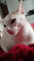 Billy