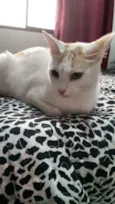 Billy