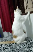 Billy
