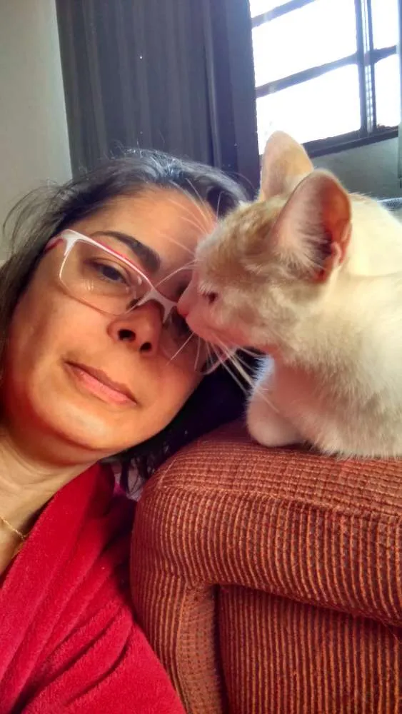 Gato ra a Misto idade 1 ano nome Billy