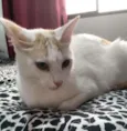 Billy
