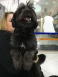 João