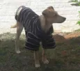 Zoe