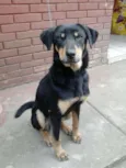Leyde
