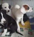 Lindos