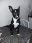 pit
