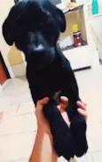 Bob