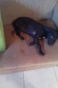 princesa