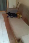 princesa