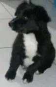 kowu