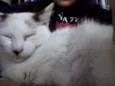 lili e jude