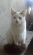 lili e jude