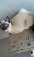 lili e jude