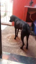 Bob