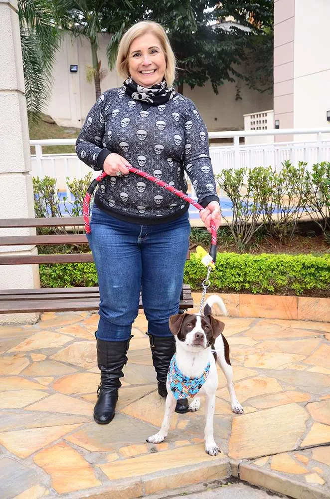 Cachorro ra a SRD idade 7 a 11 meses nome Brownie