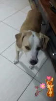 Bob