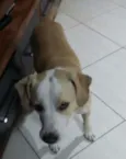 Bob