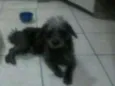 Princeso
