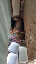 nao sei