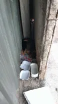nao sei