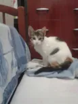 RUBI
