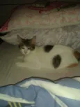 RUBI