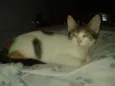 RUBI