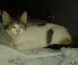 RUBI