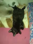 NEGÃO