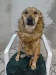 loly