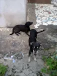 Neguinha e Cidadão