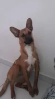 Dora