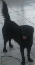 Princesa
