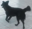 Princesa
